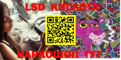 крисы Моздок