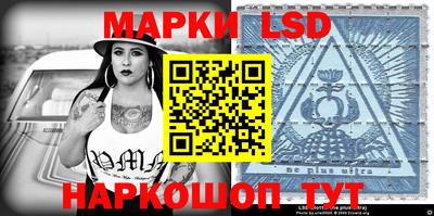 крисы Моздок