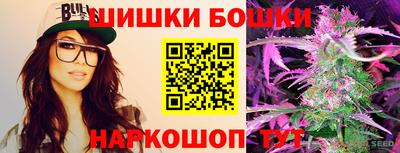 крисы Моздок