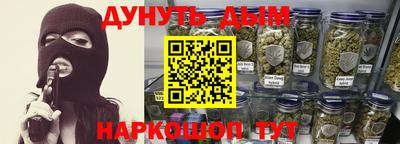 крисы Моздок