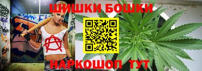 крисы Моздок