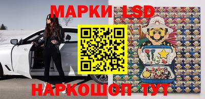 крисы Моздок