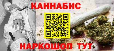 крисы Моздок