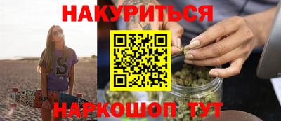 крисы Моздок