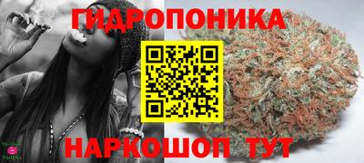 крисы Моздок