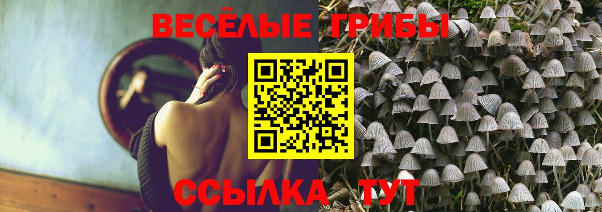 Холмск  Псилоцибиновые грибы MAGIC MUSHROOMS  Вход с VPN  Псилоцибиновые грибы прущие грибы 